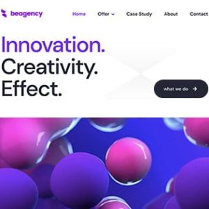 Website Development
