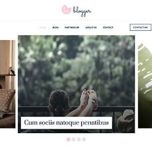 Website Development