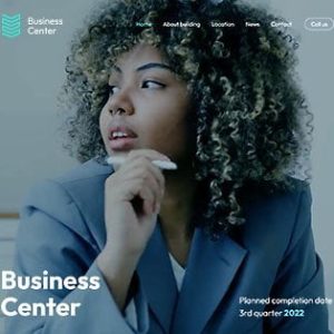 Website Development