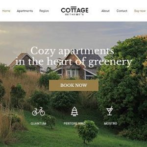 Website Development
