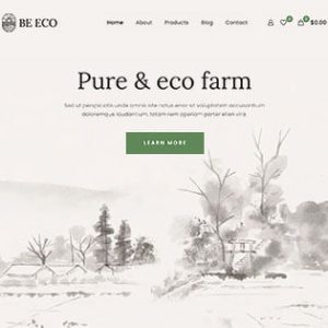 Website Development
