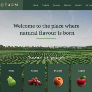 Website Development