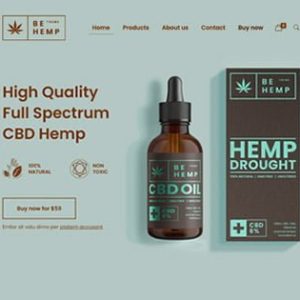 Website Development