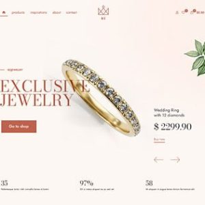 Website Development
