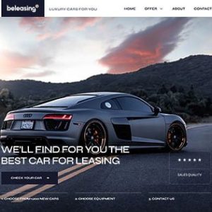 Website Development