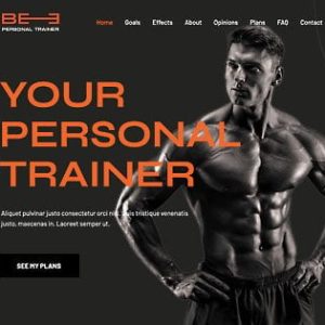 Website Development