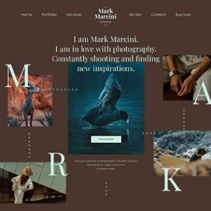 Website Development