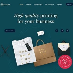Website Development