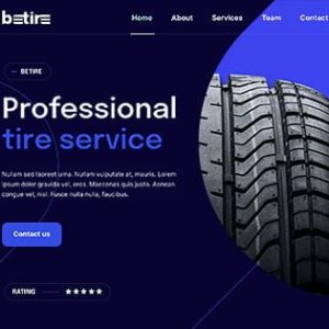 Website Development