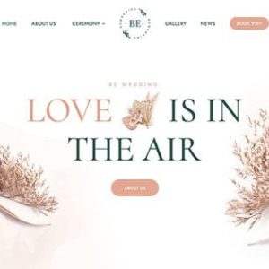 Website Development