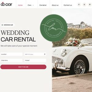 Website Development