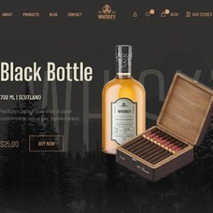 Website Development